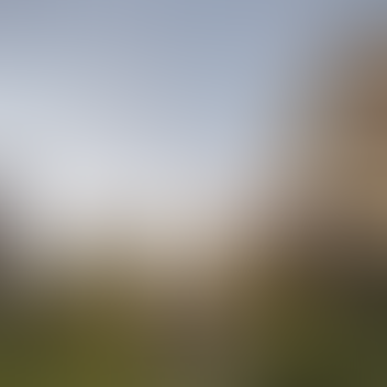 Изображение проекта