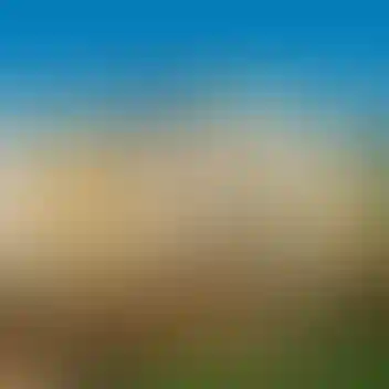 Изображение проекта